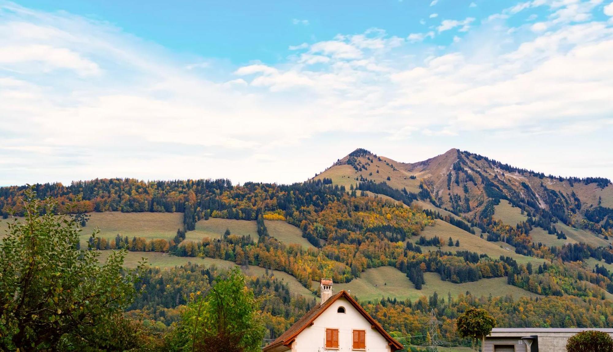 Gruyere Alpes Appartement 3 Chambres Bbq Parking Neirivue Dış mekan fotoğraf